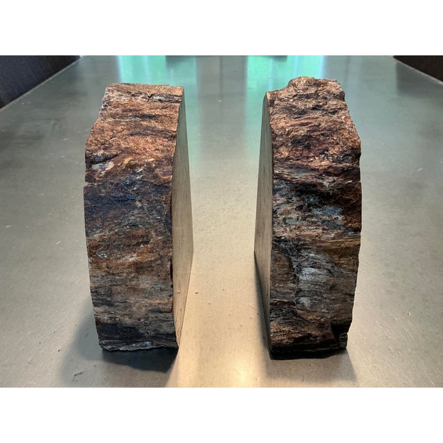 Mid 20th Century Vintage Bookmatched Petrified Wood Bookends - A Pair For Sale - Image 5 of 9