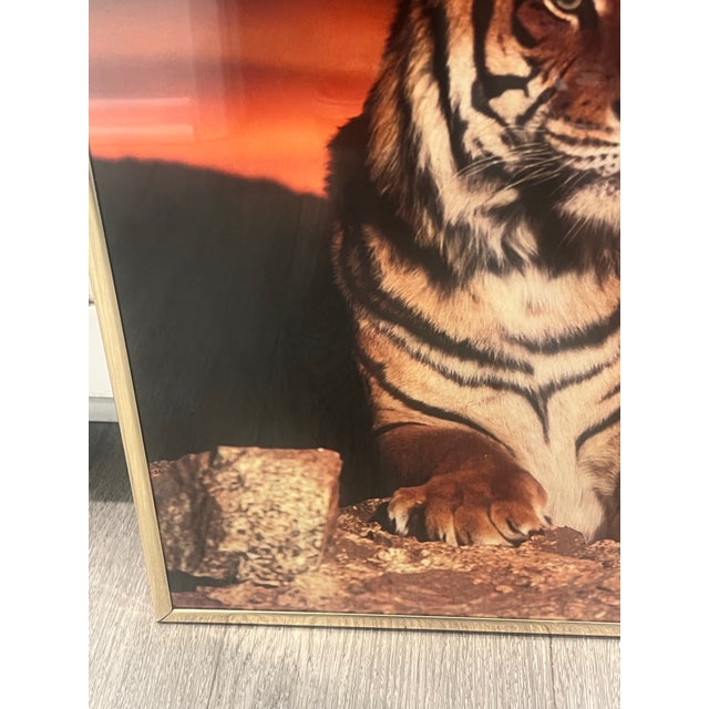 Vintage Postmodern 1980s Print Tiger Wall Art Picture Gold Frame For Sale - Image 4 of 7