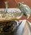 Ceramic Gualdo Tadino Ceramic Centerpiece Bowl With Mice For Sale - Image 7 of 14