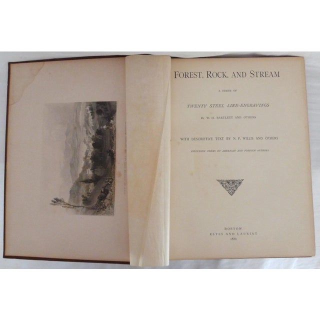 Late 19th Century Bartlett's Forest, Rock and Stream Illustrated Book For Sale - Image 4 of 11