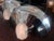 Design Pair of Etruscan Wall Sconces Karl Springer For Sale - Image 4 of 8