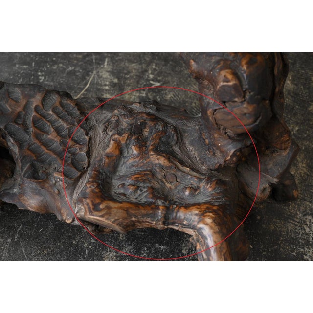 Antique Japanese Burl Wood Display Stand / Meiji-Showa / Organic One-of-a-Kind For Sale - Image 16 of 18