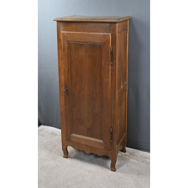 19th Century Standing Regional Cabinet in Oak For Sale - Image 4 of 18