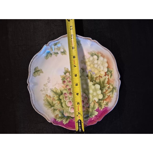 English Bavarian Vintage Decorative Fruit Plate For Sale - Image 3 of 3