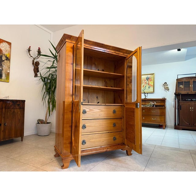 Brown Biedermeier Display Cabinet in Walnut For Sale - Image 8 of 18