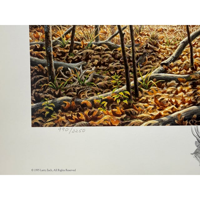 1990s Autumn Encounter - Whitetail Deer by Larry Zach ~ Le Signed Numbered Print For Sale - Image 4 of 8
