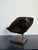 Brazilian Modernist Fossilized Bronze Fish Sculpture on Steel Base by Mário Agostinelli, 1980s For Sale - Image 4 of 14