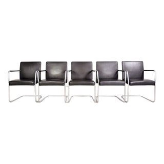Jason Lite 1500 Chairs in Black Leather from Walter Knoll, Set of 5 For Sale