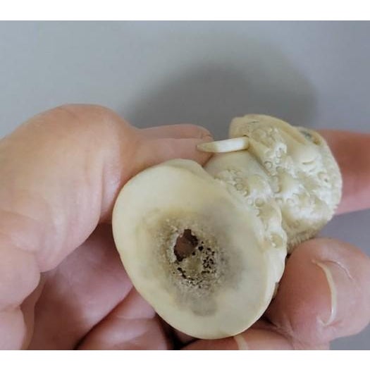 White Japanese Bone Anthropomorphic Toad Figural Carving, 19th C. For Sale - Image 8 of 8