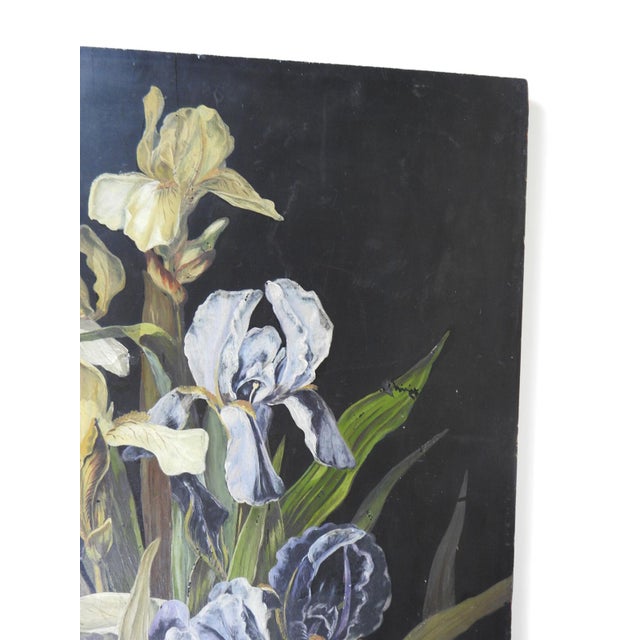 Early 20th century oil on wood painting of irises with a black background. Unsigned. Unframed, small scattered spots of...