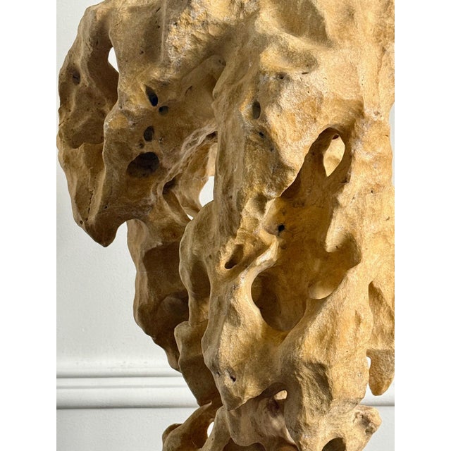 Extraordinary Large Chinese Scholar Rock Yellow Taihu Stone on Wood Stand For Sale In Atlanta - Image 6 of 18