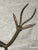 Vintage African Bronze Gazelle Sculpture For Sale - Image 10 of 13