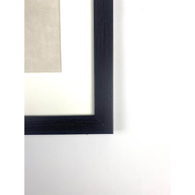 Framed Vintage Botanical Blossfeldt Print - No. 103 For Sale - Image 4 of 5