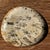 Small Trinket Tray or Dish in White Petrified Wood with Brown Checkered Pattern For Sale - Image 17 of 18