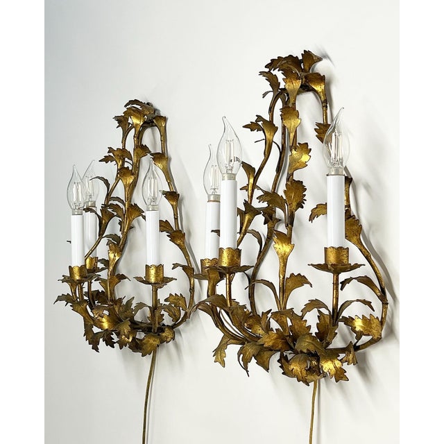 Pair of 1950 Italian Gilt Florentine Wall Sconces For Sale - Image 4 of 12
