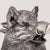 Vintage Glass Jug with Silver-Plated Boar Head from Valenti, 1970s For Sale - Image 16 of 18