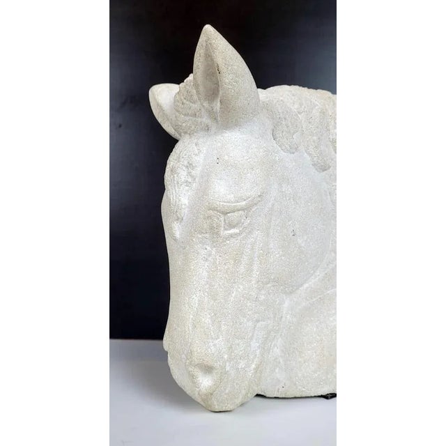 White French Stone Horse Head, 1950s For Sale - Image 8 of 11