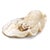 Regina Andrew Imperial Giant Clam Replica - Large For Sale In Detroit - Image 6 of 6