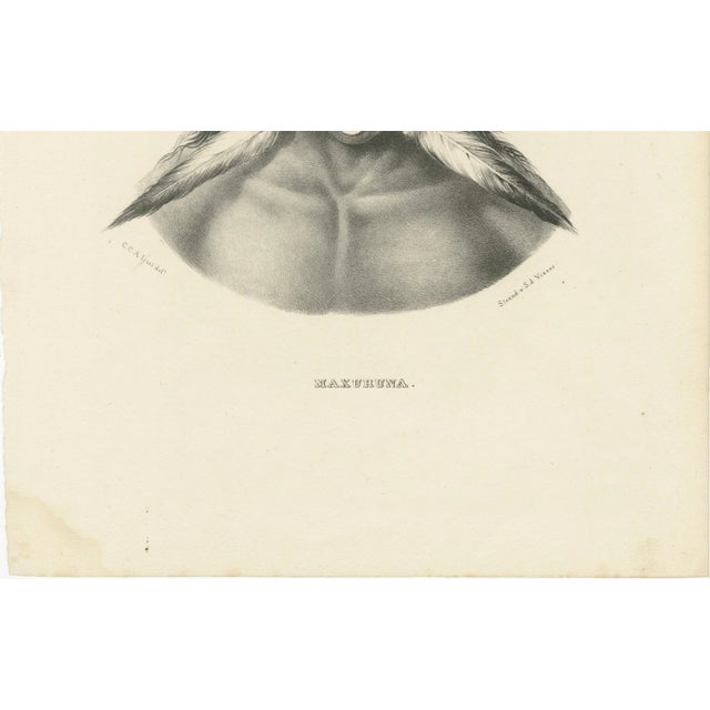 Brodtmann, Maxuruna and Botocudo Peoples, 1827, Lithographs, Set of 2 For Sale - Image 7 of 12