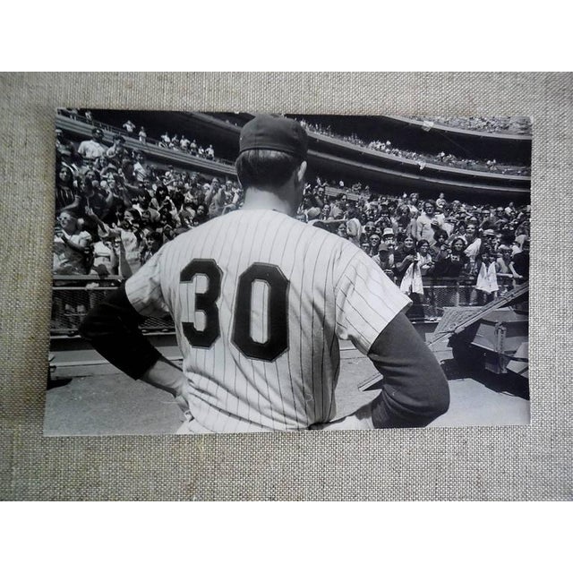 Fred McDarrah, Signed Vintage Silver Gelatin Photograph Nolan Ryan For Sale