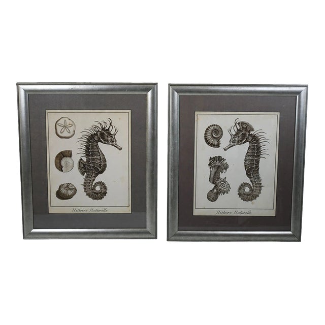 Pair of Seahorse Vintage Art For Sale