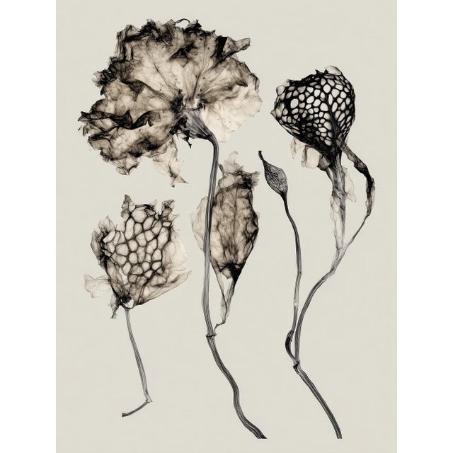 2020s Set of 8 — “Flowers” Black & White Botanical Photography Prints | Unframed For Sale - Image 5 of 10