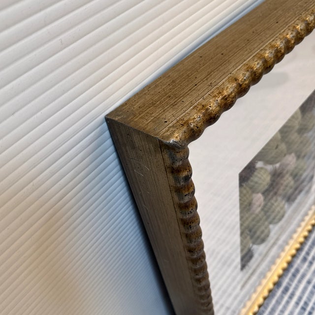 Sea Urchin Shadowbox Art, Framed For Sale - Image 12 of 12