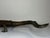 French Early 20th Century Bronze Crocodile Fountain Head Garden Outdoor Sculpture After Antoine-Louis Barye For Sale - Image 9 of 18