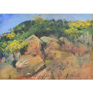 Lea Monetti, Brooms and Rocks on Giglio Island, Oil Painting, 1997 For Sale
