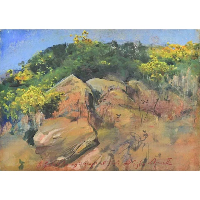 Lea Monetti, Brooms and Rocks on Giglio Island, Oil Painting, 1997 For Sale