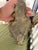 Early 20th Century Pair of Bronze Single Candle Sconces, Early 20th Century For Sale - Image 5 of 7