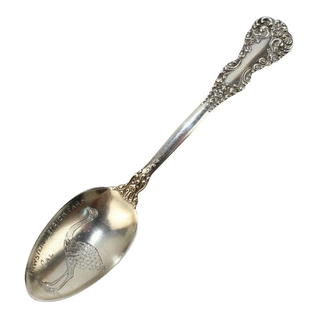 Antique Cawston Ostrich Farm California Sterling Silver Souvenir Spoon For Sale
