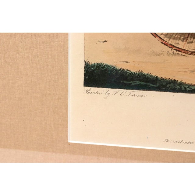 Large Aquatint of the Celebrated Trotting Stallion Artaxerxes After Francis Calcraft Turner For Sale In Philadelphia - Image 6 of 9