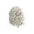 Unusual small brain coral specimen. Condition: some natural wear. Materials: natural coral. No maker's marks.