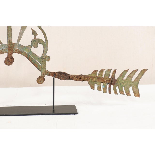 19th Ornamental Bird Fragment on Stand For Sale - Image 9 of 11