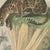 Black Antique Lion, Jaguar, Leopard and Cheetah Print by Kolb, 1890 For Sale - Image 8 of 12