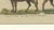 Antique Indian Cattle, Buffalo & Musk Ox Engraving from Bertuch, 1796 For Sale - Image 9 of 10