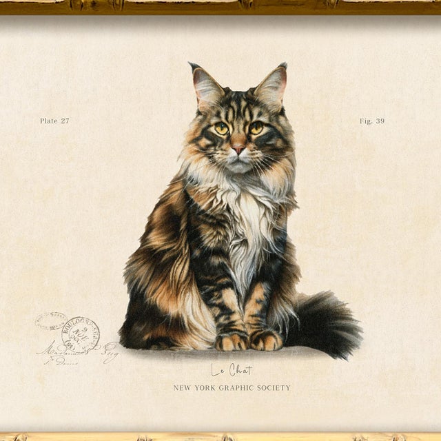 Illustration Reproduction Art Print of Vintage “Le Chat" Illustration (Cat 5), Framed For Sale - Image 3 of 4