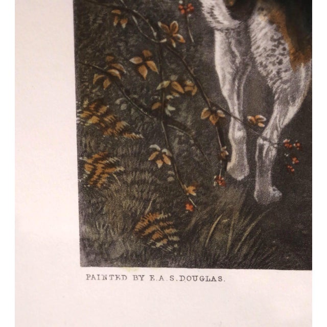 19th Century English Fox Hunting Color Engraving “Evening” by e.a.s. Douglas For Sale - Image 10 of 15