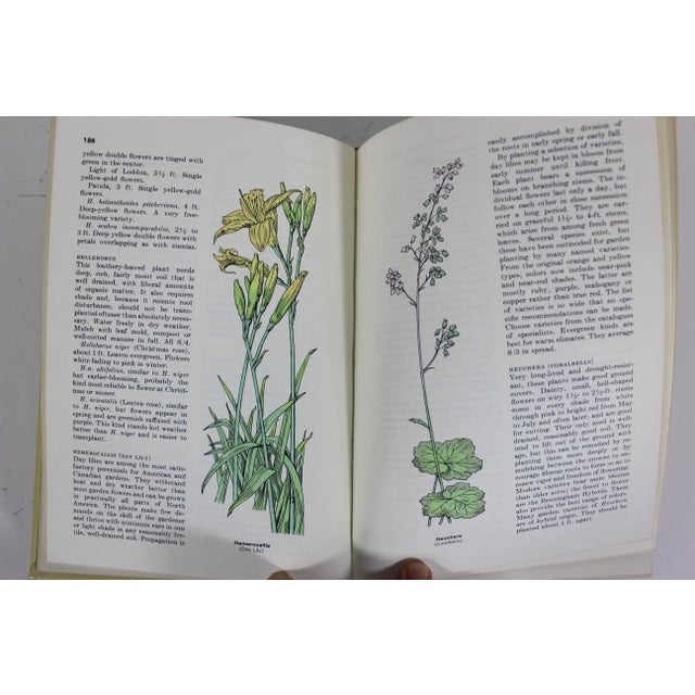 1966 Reader's Digest Complete Book of the Garden Hard Cover For Sale - Image 10 of 12