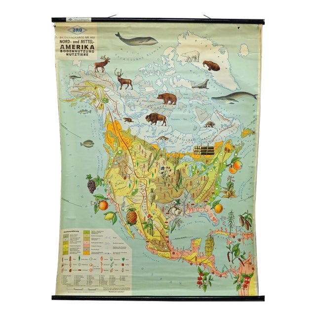 North America Land Use and Livestock Picture Map, 1970s For Sale