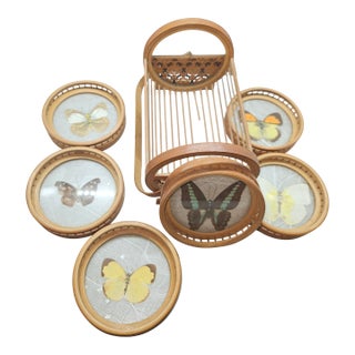 Vintage Butterfly Coaster Set With Bamboo Holder, Real Specimen Decor For Sale