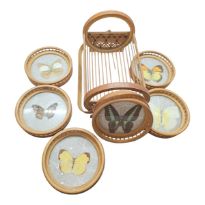 Vintage Butterfly Coaster Set With Bamboo Holder, Real Specimen Decor