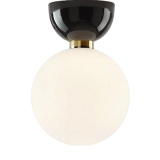 Aballs A II Pe Black Wall Lamp in Glass by Jaime Hayson for Parachilna For Sale