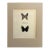 Vintage 1965 Butterfly Print in 11x14 Mat: Diorina Psecas & Lyropteryx Apollonia For Sale