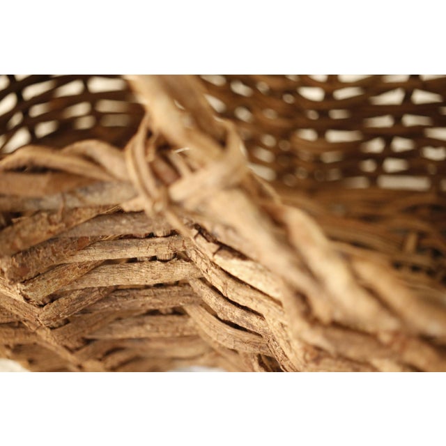 French Antique "Buttocks" Harvest Basket Handmade From Grapevine For Sale - Image 6 of 11