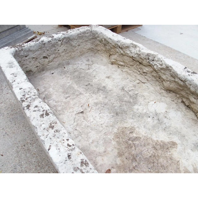 A Wide 18th Century Carved Limestone Trough From the South of France For Sale - Image 17 of 18