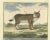 Diderot, Puma and Lynx, 1774, Print For Sale - Image 3 of 5