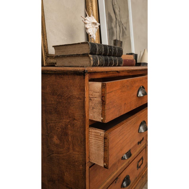 Wood Antique English Pine Shop Chest of Drawers, UK, 1890s For Sale - Image 7 of 16