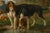 Signed Joost-Vincent De Vos 19th Century Oil Painting Depicting Hounds and Boy For Sale - Image 11 of 12
